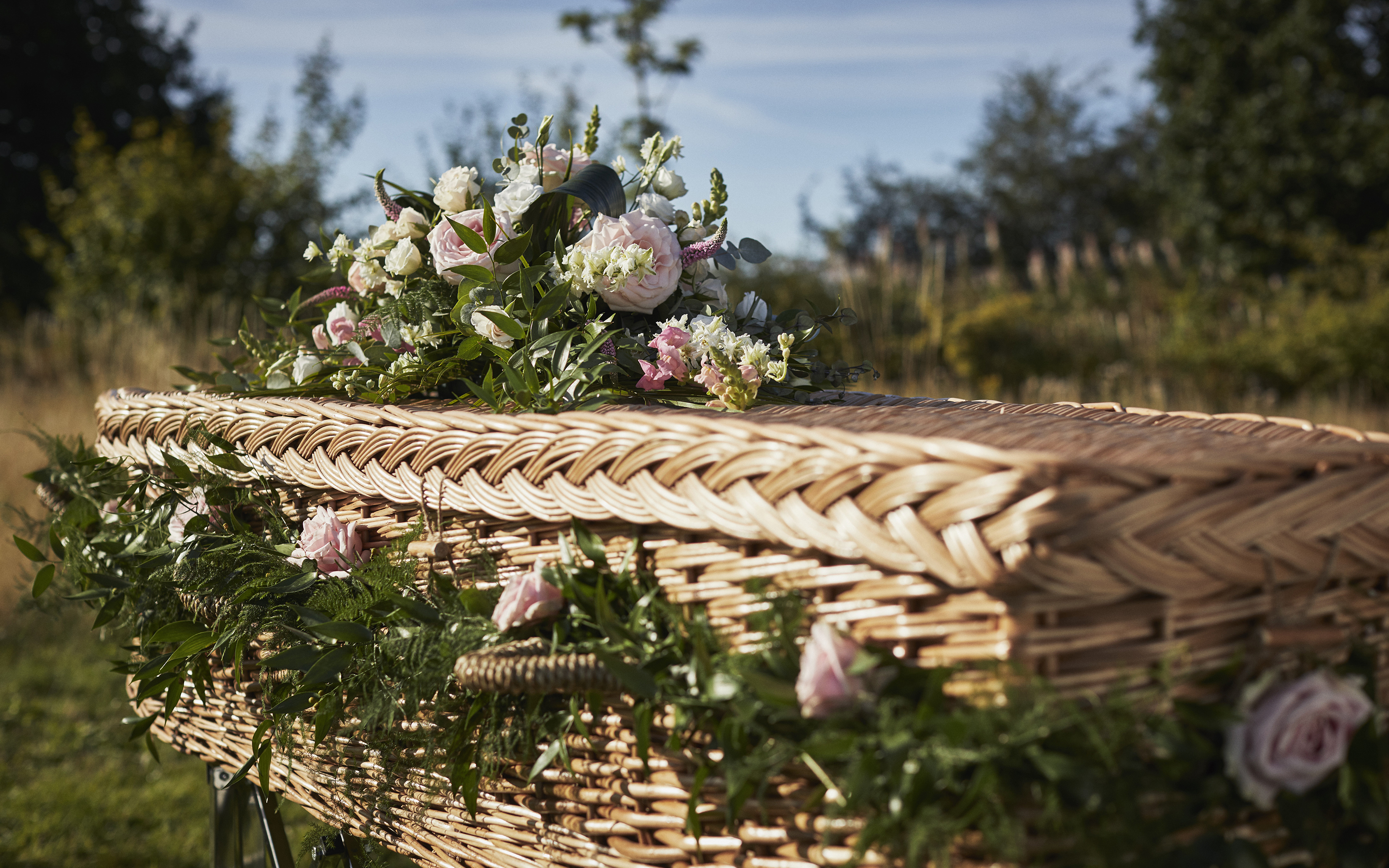 A woven willow coffin outdoors, topped with pink roses and green foliage.