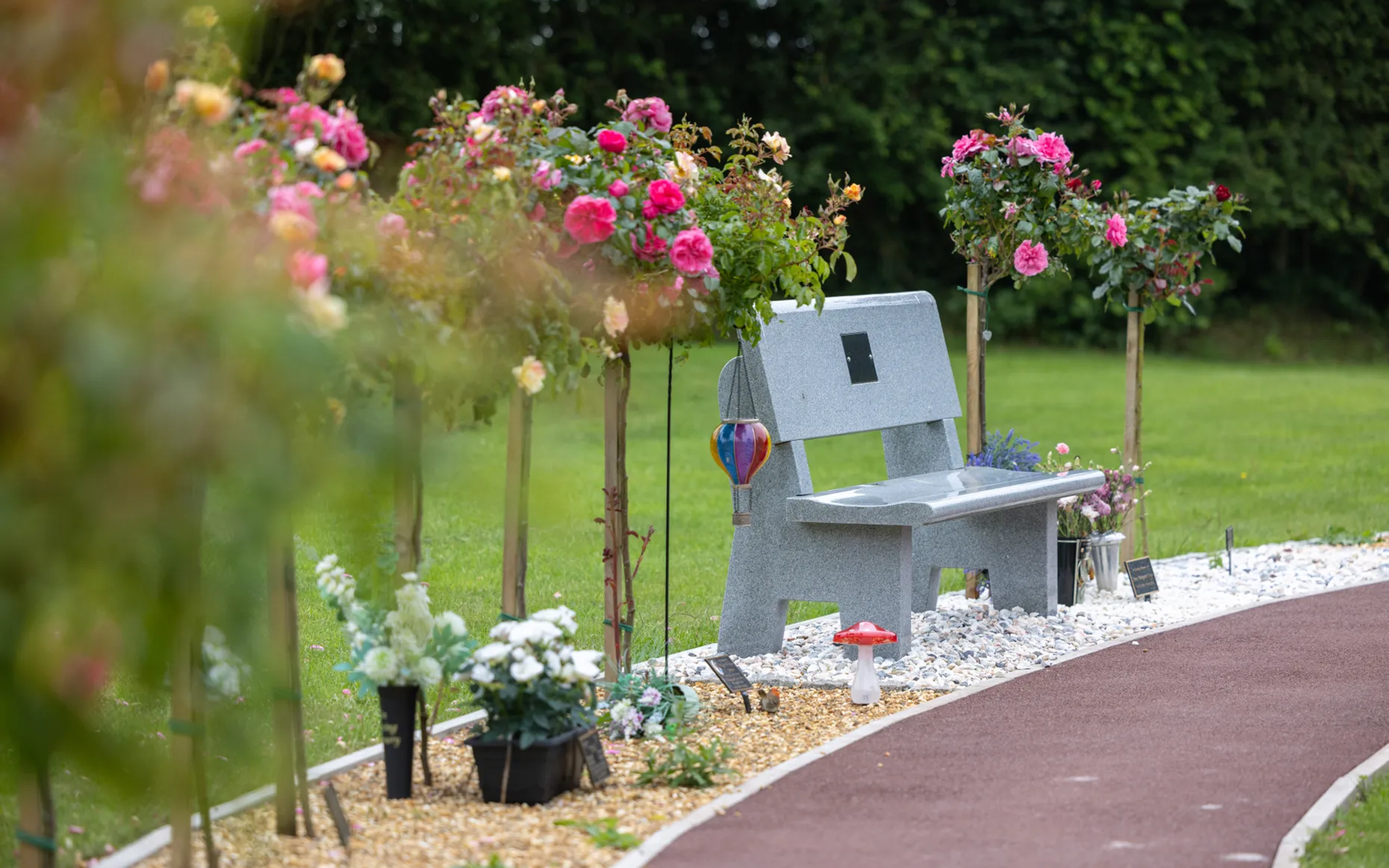 A grey memorial bench on a lawn, seen beyond a border of standard roses and a path.