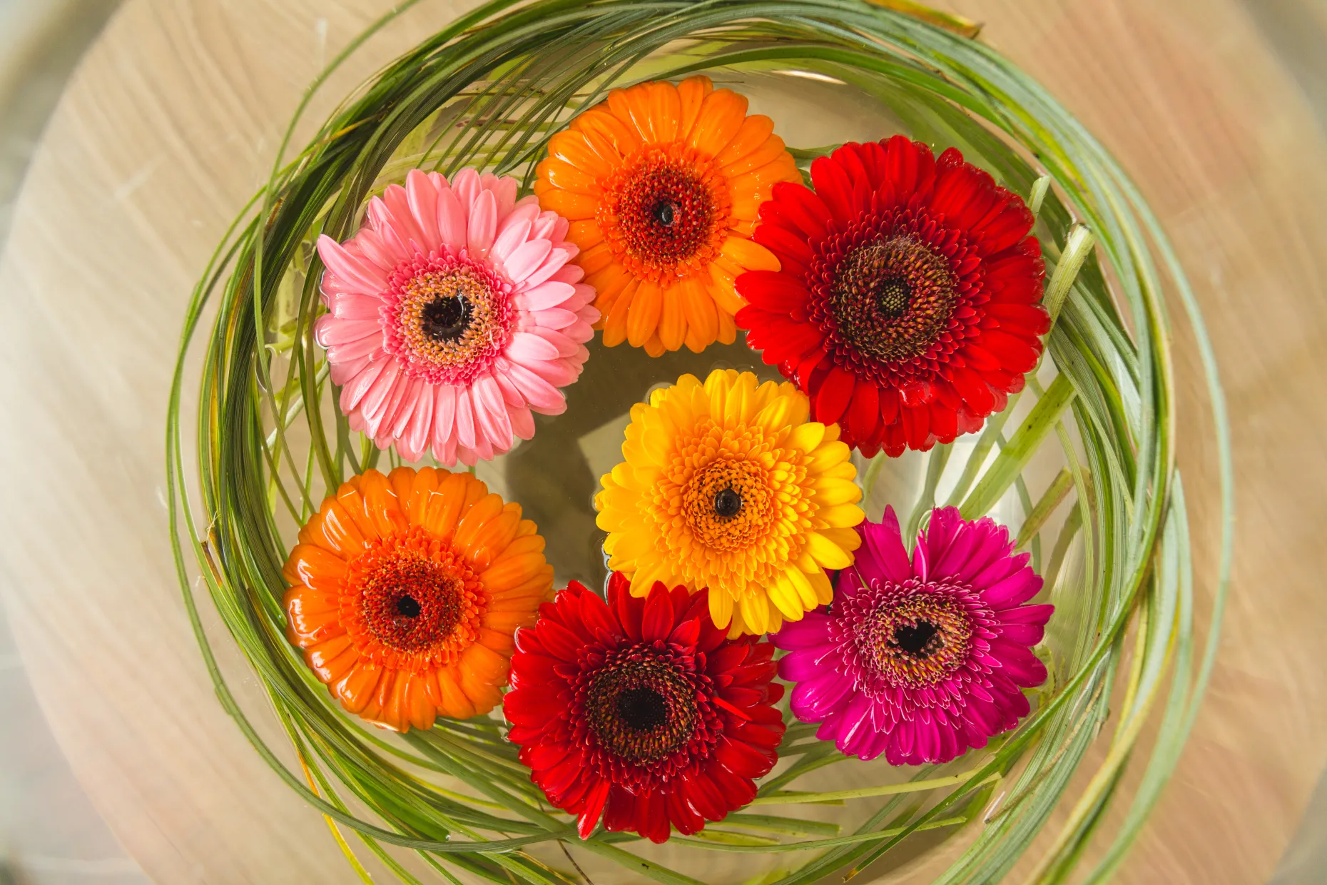 Colourful flower display