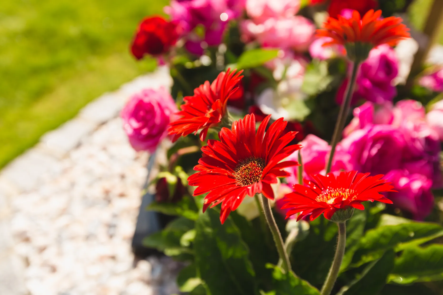 Floral Display
