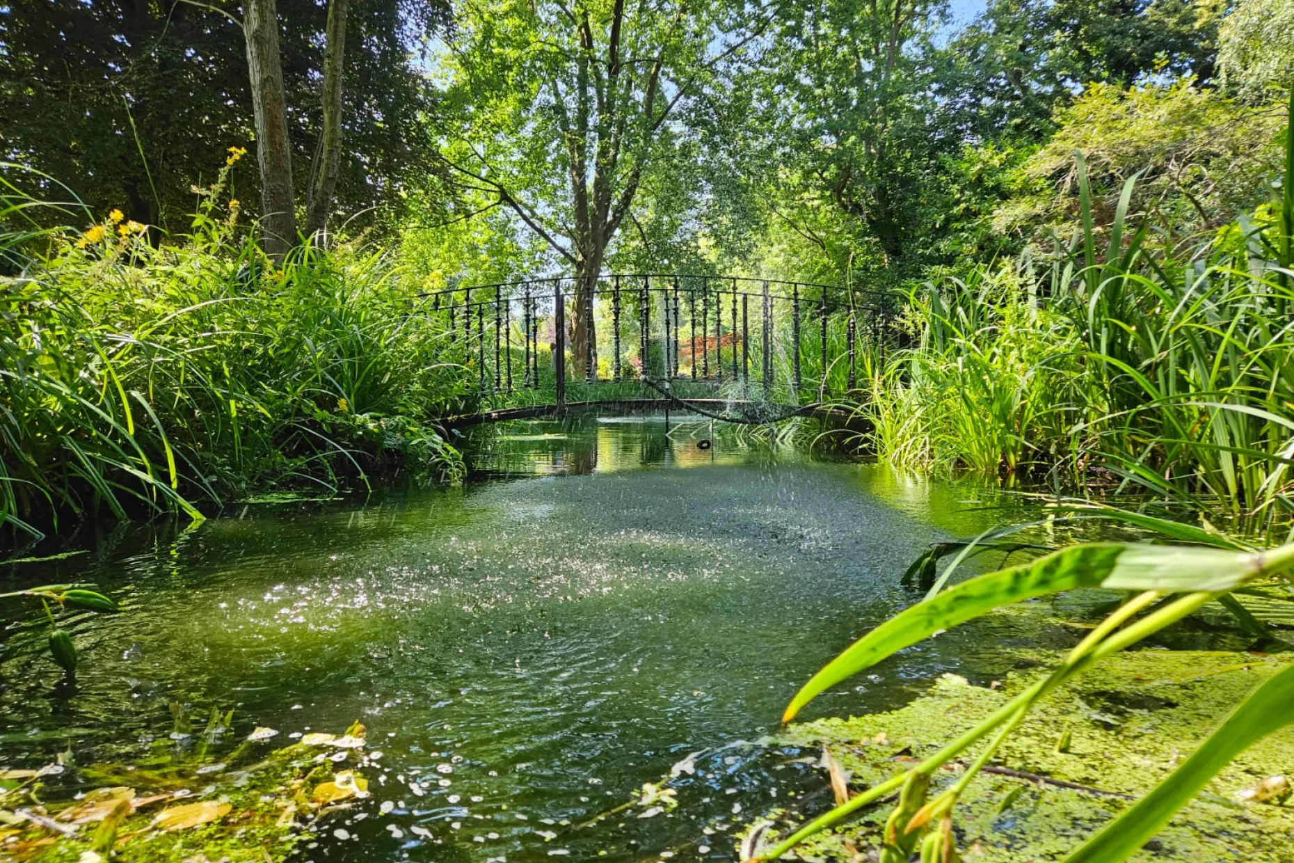 Earlham Crematorium Grounds 
