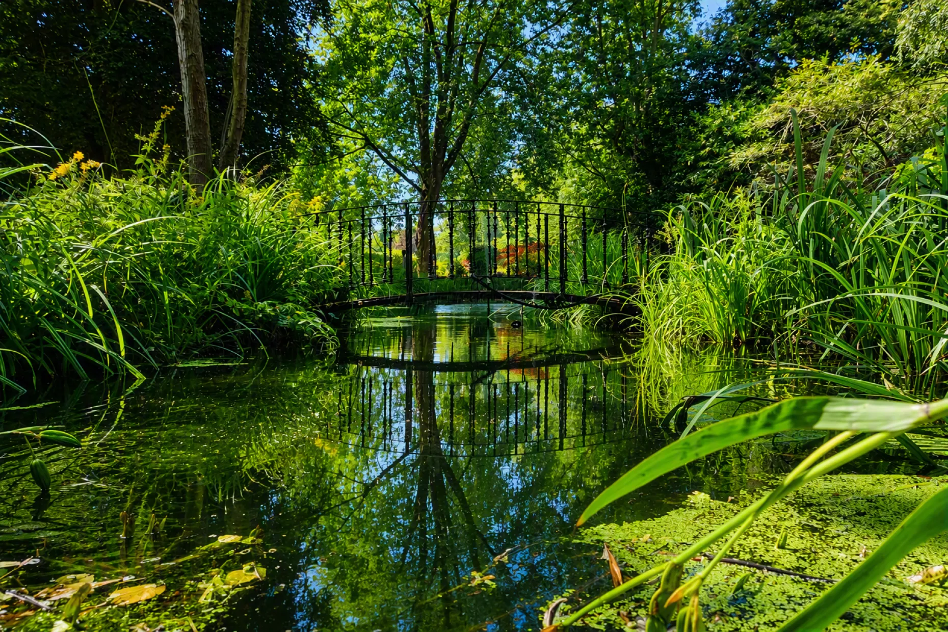 Water Feature