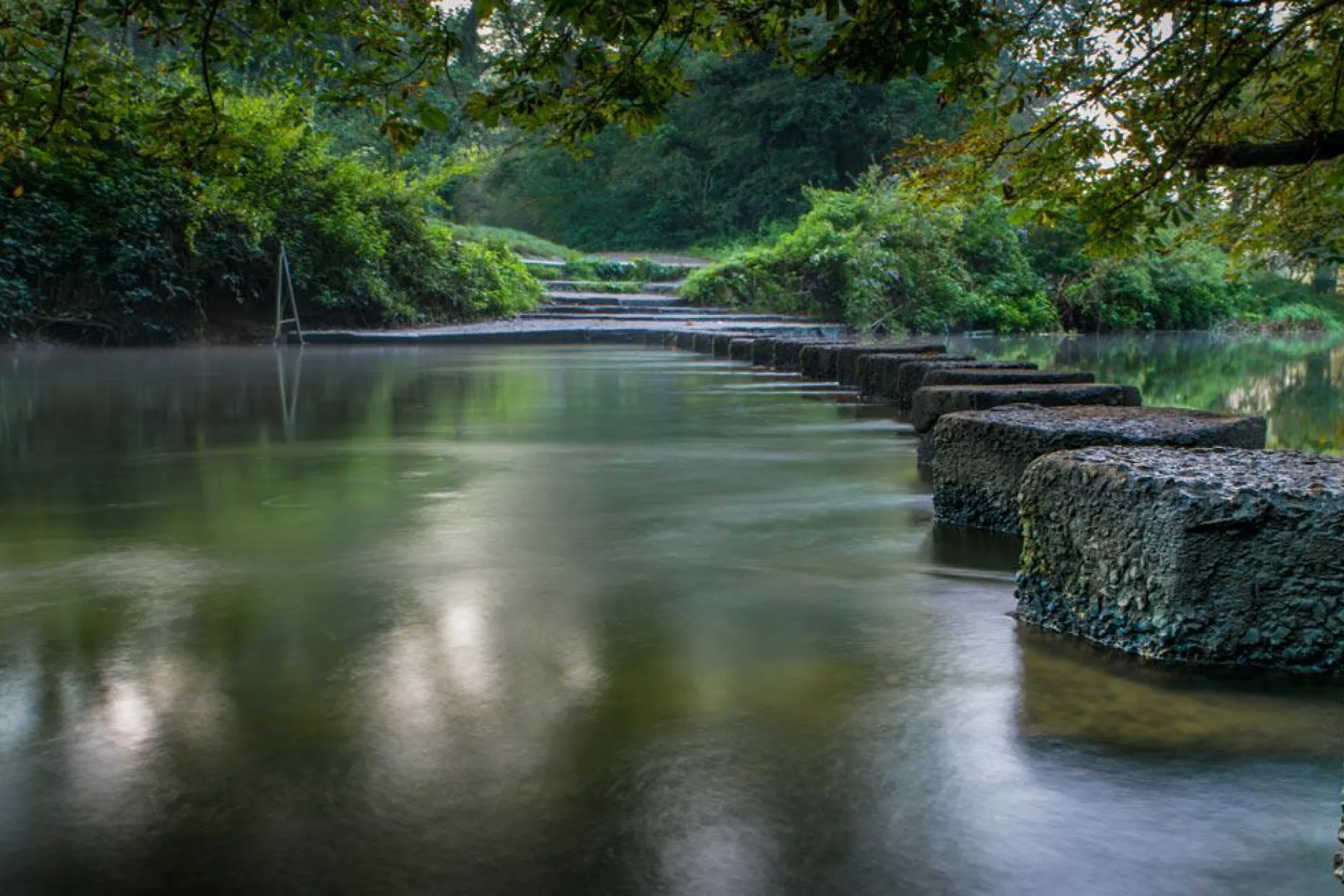 Funeral directors in Surrey