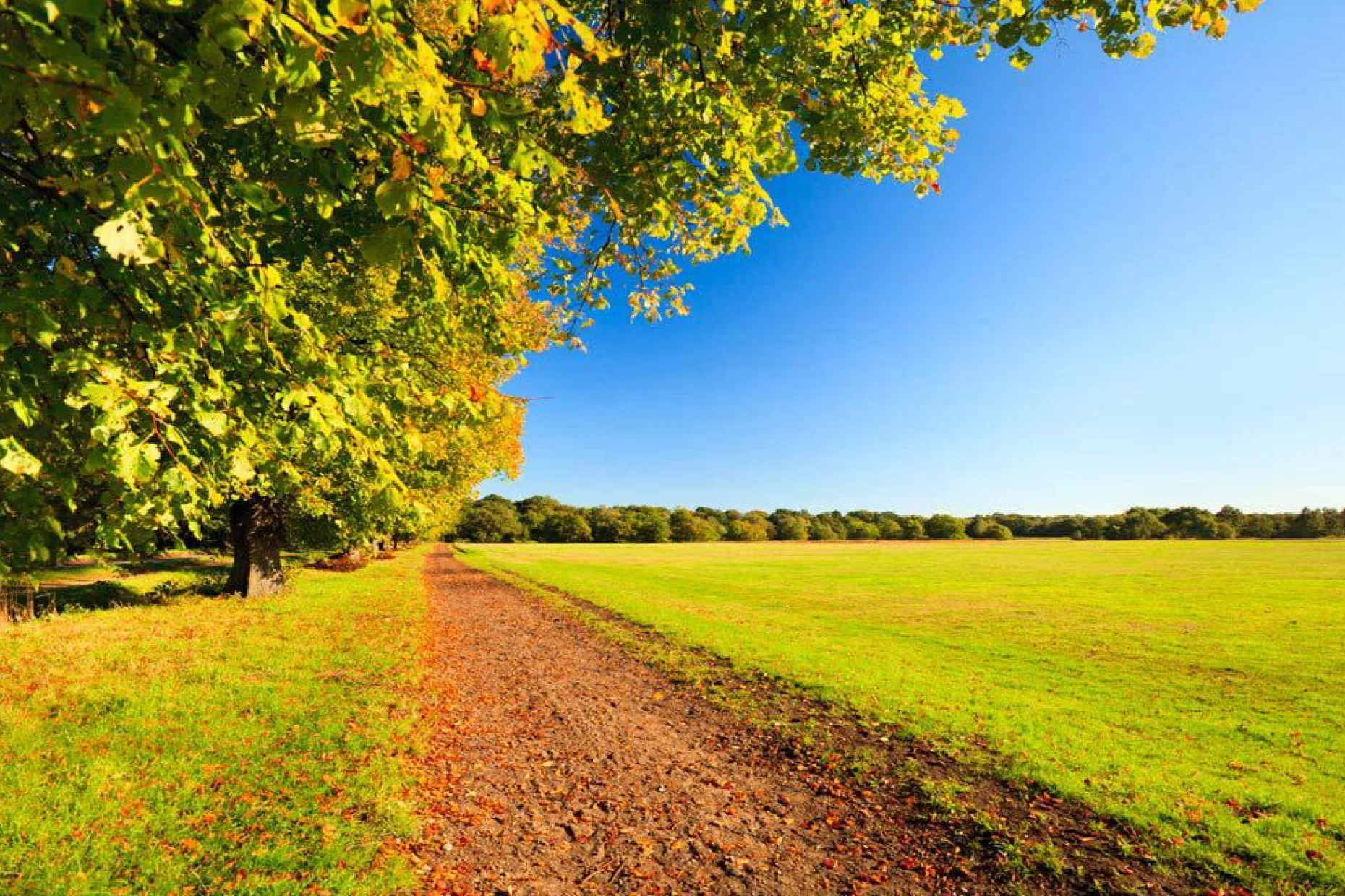Funeral directors in Wimbledon