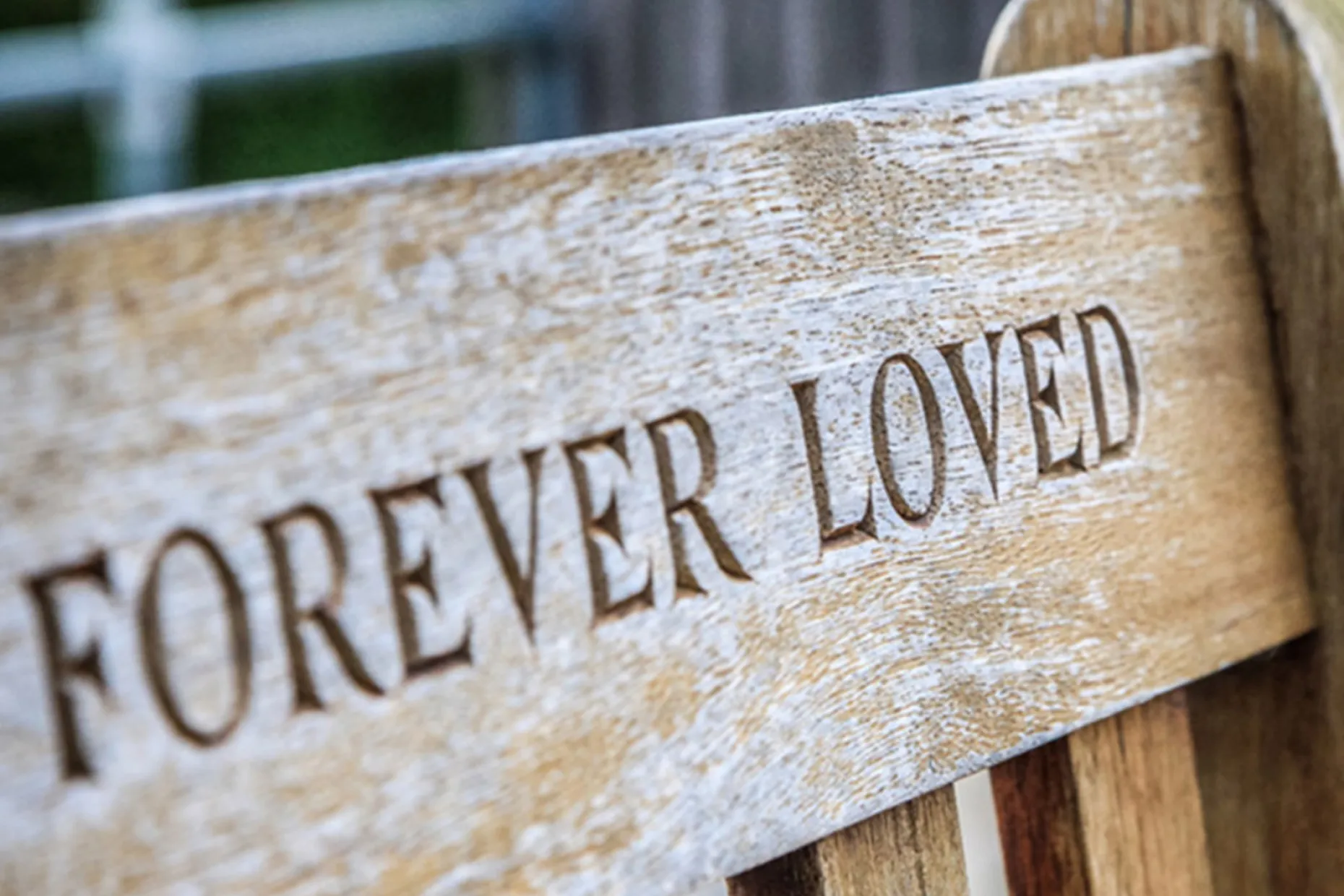 A wooden memorial bench carved with the words Forever Loved.